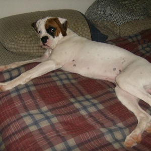 Vince in bed
