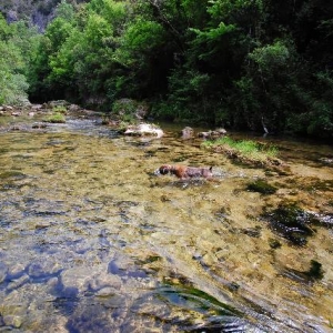 Snorkeling