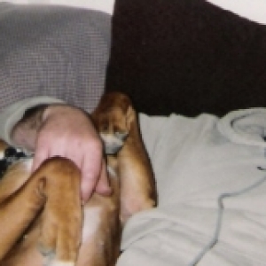Zonked with Papa