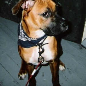 In his Bandana