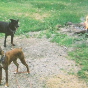 Around the Fire
