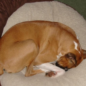 All Curled Up