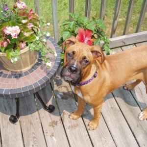 Stop and smell the flowers