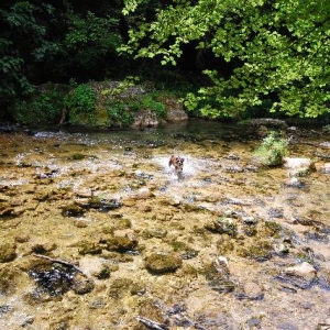 Splashing around