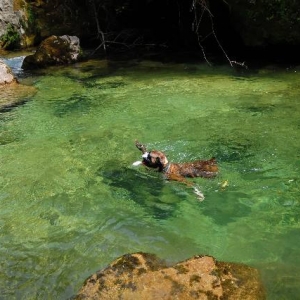 Paddling