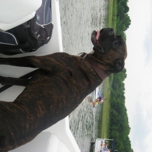 Rocco's 1st Boat outing