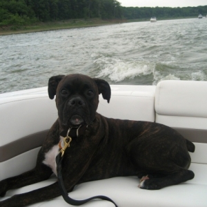 First Mate