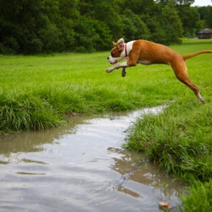 Ruby mid flight