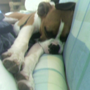 Mira Sleepin