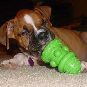 peanut butter happy