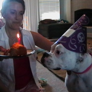 Annabelles 1st Bday