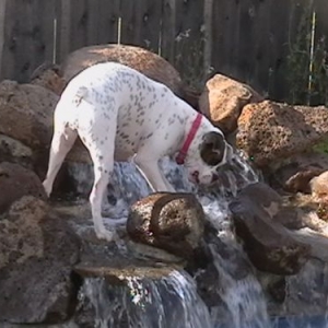 Annabelle Waterfall