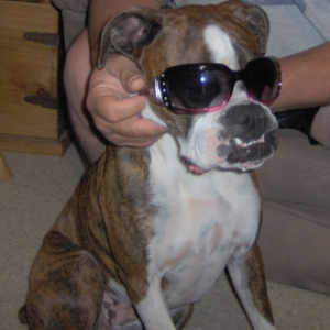 Goldie looking cool in her bling bling sunglasses.
