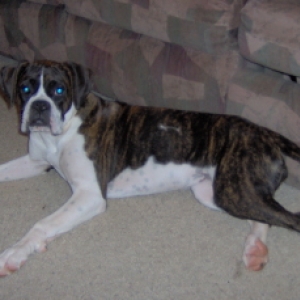 Sadie at 5mths