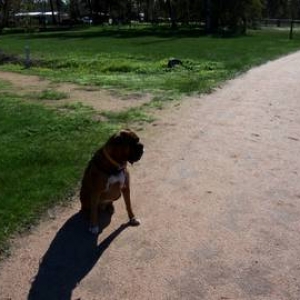 Waldo's Sunday walk