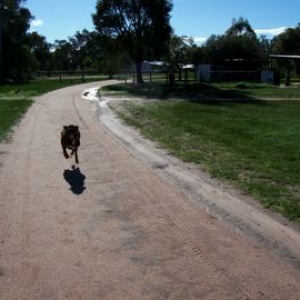 Wait for me,Mum!!