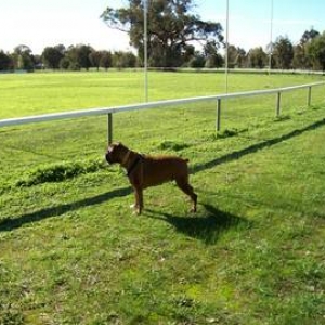 Now for some footy!