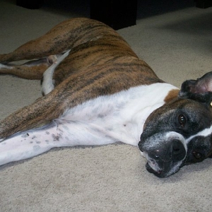 sleepy