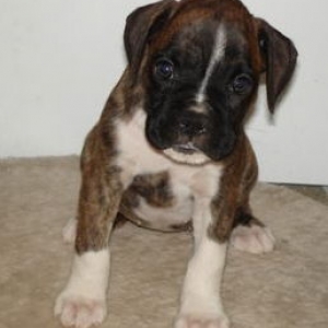 Our new baby girl