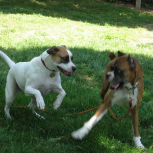 Hannah and Bugsy