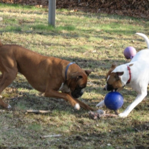 Playing