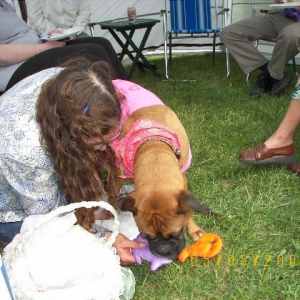 Opening puppy shower presents