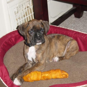 2 months old - 2nd day at home
