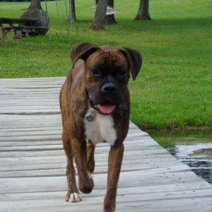 At The Lake