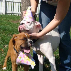 Chloe's 1st birthday