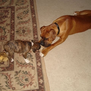 I'll have what he's having!