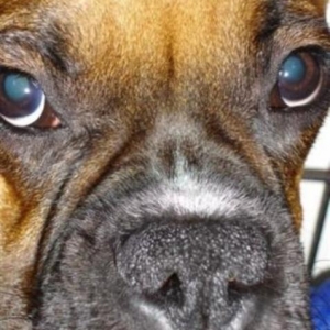 Scary close-up