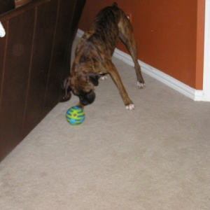 My New Birthday Toy!