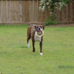 More fetch