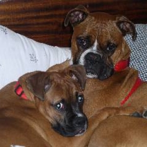 Jack and Bridget