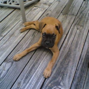 Chillin on the deck