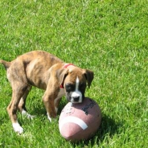 Asher - my baby