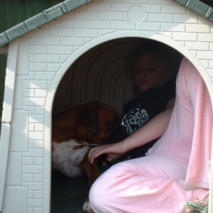 In the dog house