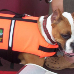 Punchinella in her life vest