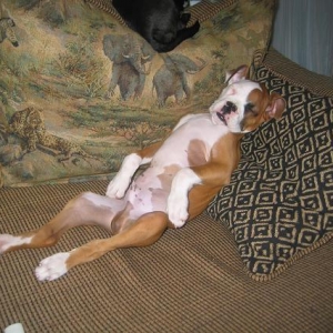 Lazy days
