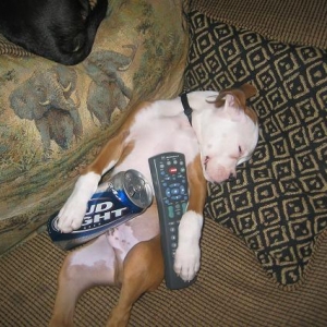 like father, like son!