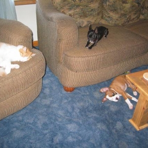 they crashed HARD!