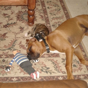 Snuggling with the baby...so sweet!