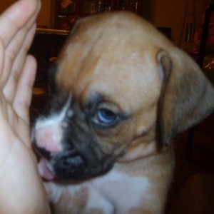 Duece