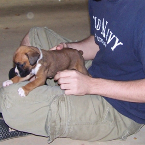 ruby 4 weeks