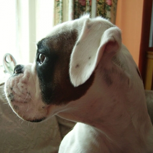 Luka Profile