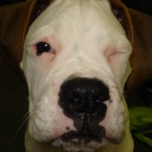 WINKING