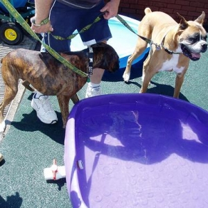 Woof Stock Cooling Station