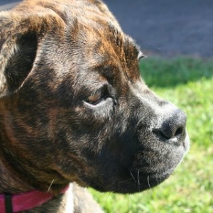 Kia @ 4 months