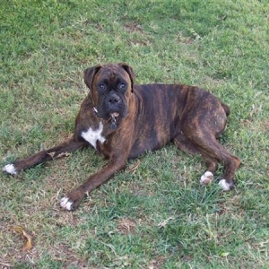 Syd @ 15 Month's Old