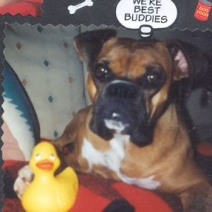 Harley & Ducky...